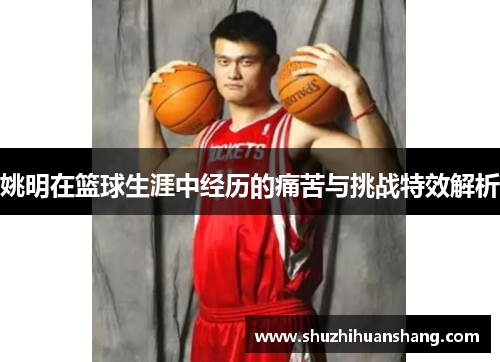 姚明在篮球生涯中经历的痛苦与挑战特效解析