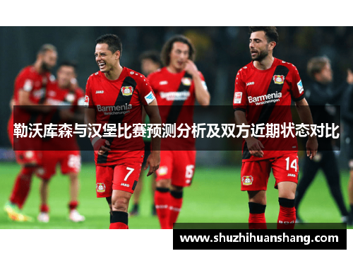 勒沃库森与汉堡比赛预测分析及双方近期状态对比